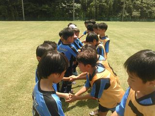 1501429419019.jpg